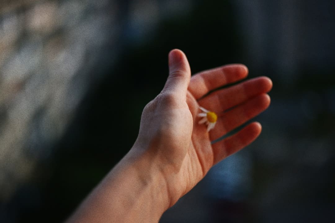谁是孔门最可爱的弟子